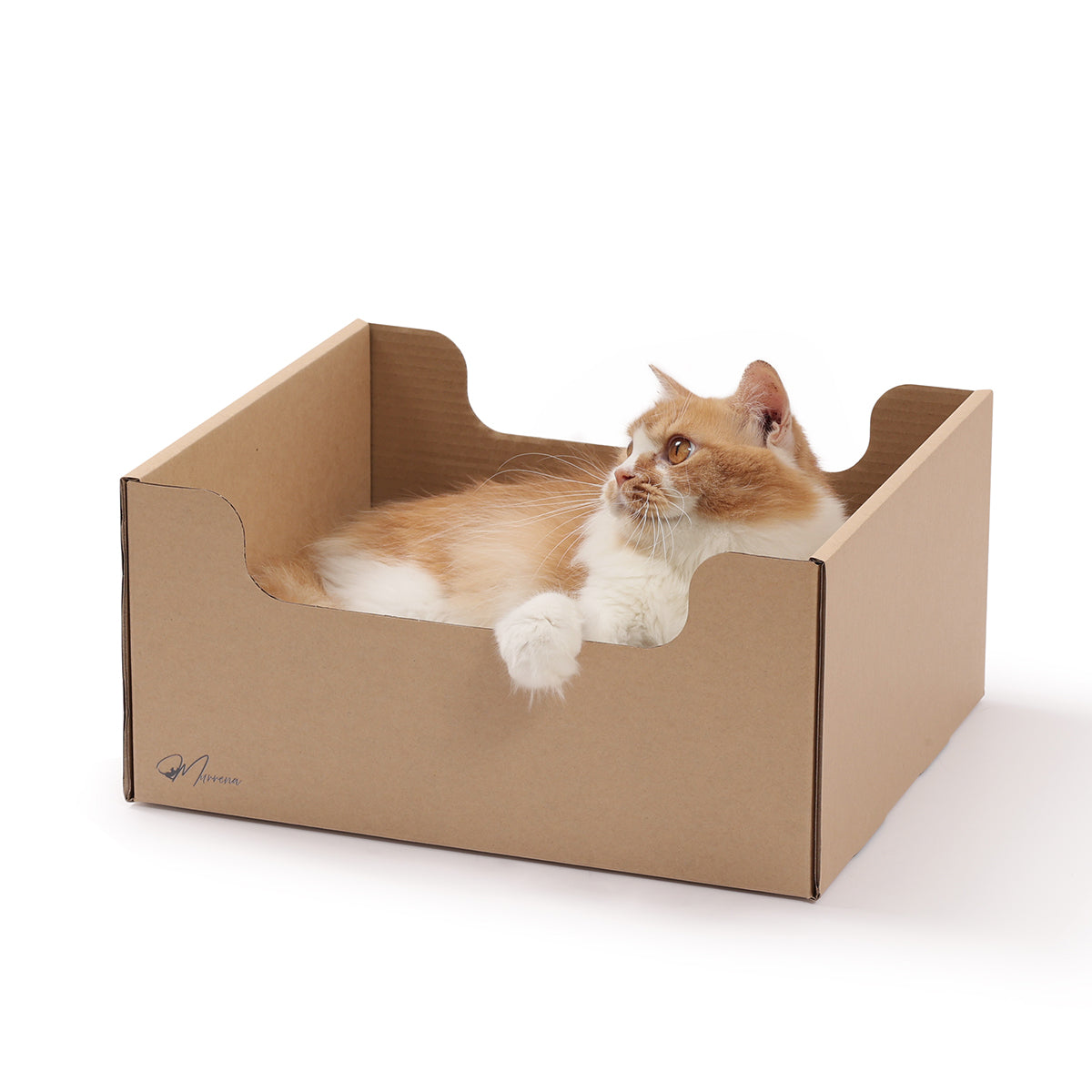 Nest Box Cat Scratcher & Lounge