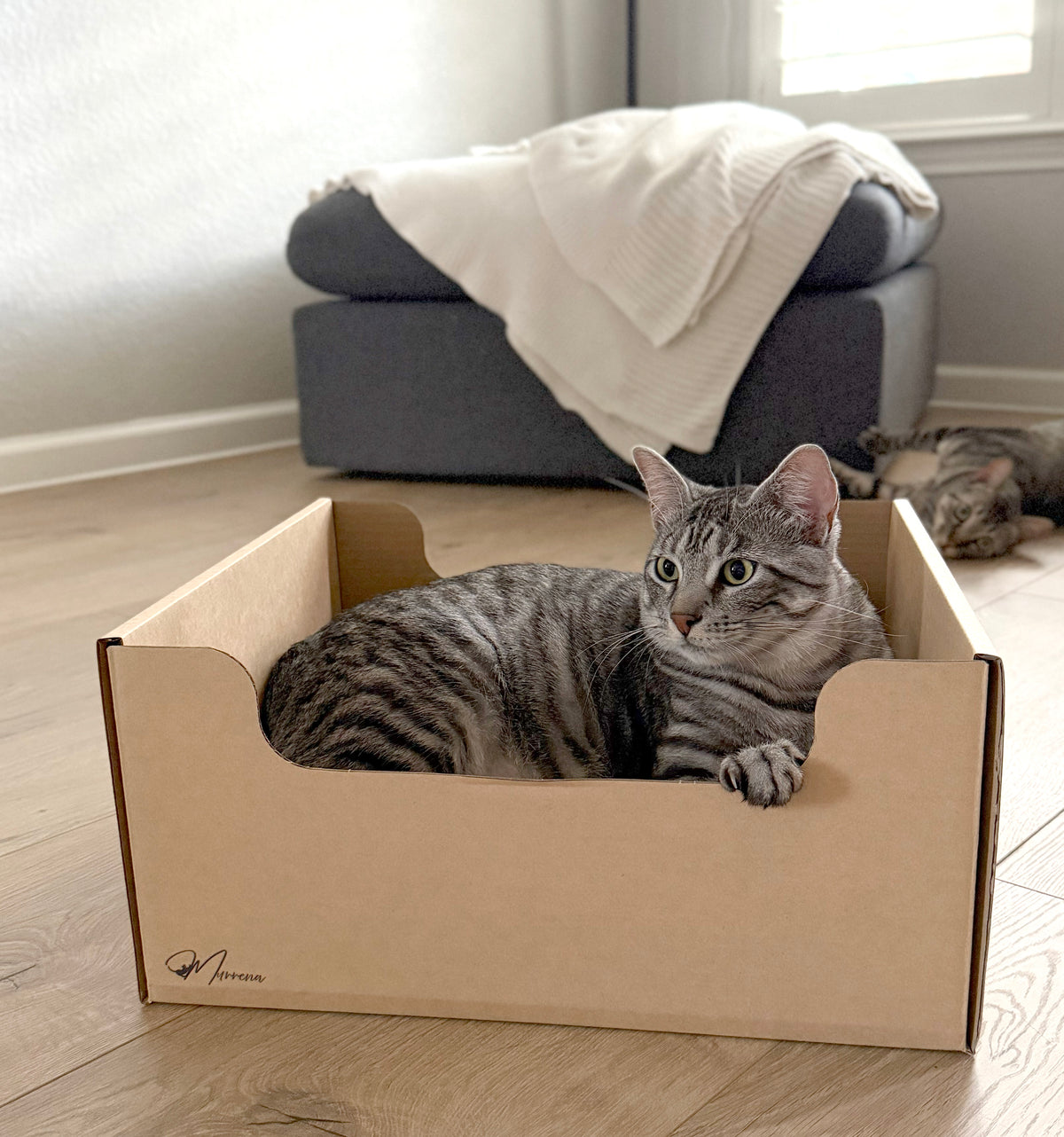 Nest Box Cat Scratcher & Lounge