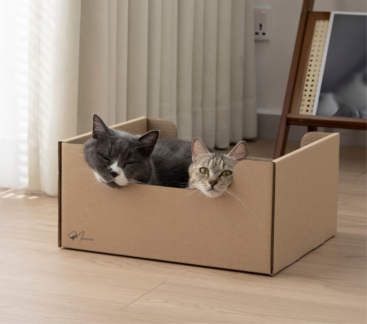 Nest Box Cat Scratcher & Lounge