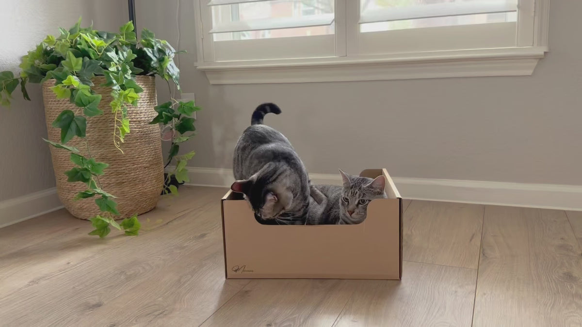Load video: 
